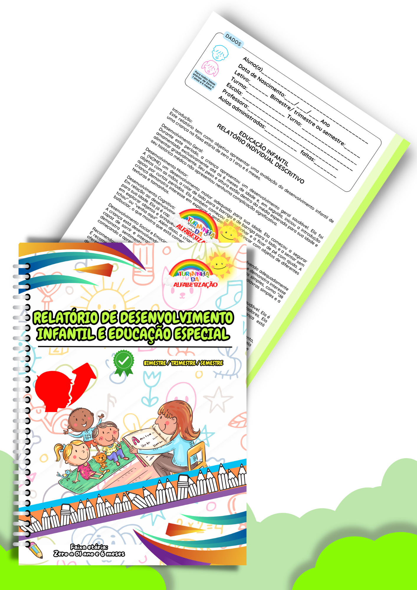 RELATÓRIO DE DESENVOLVIMENTO INFANTIL E EDUCAÇÃO ESPECIAL (2)