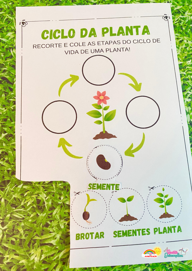 🌼 Piquenique Encantado Borboletas Brilhando com Flores do Jardim 🌸🦋 (8)