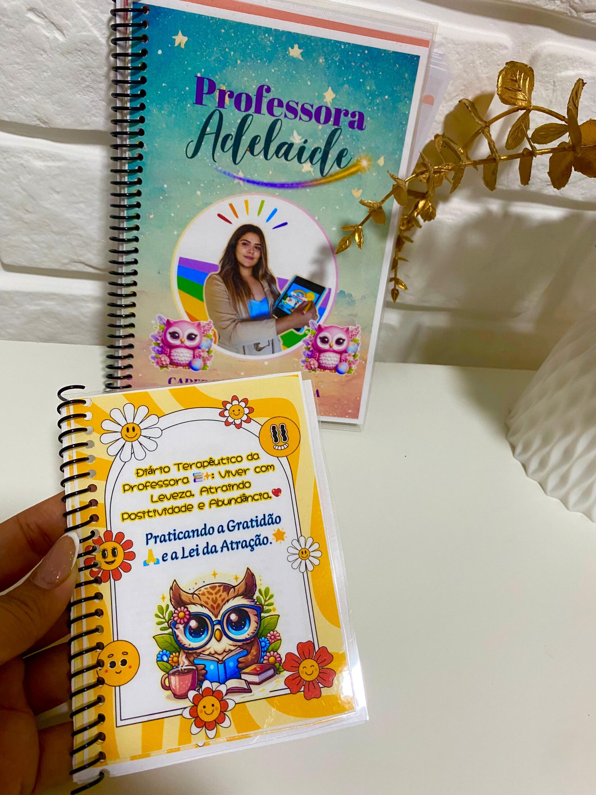 Caderno da Professora 2025 - 365 Dias + Sondagem Diagnóstica - Imagem 8