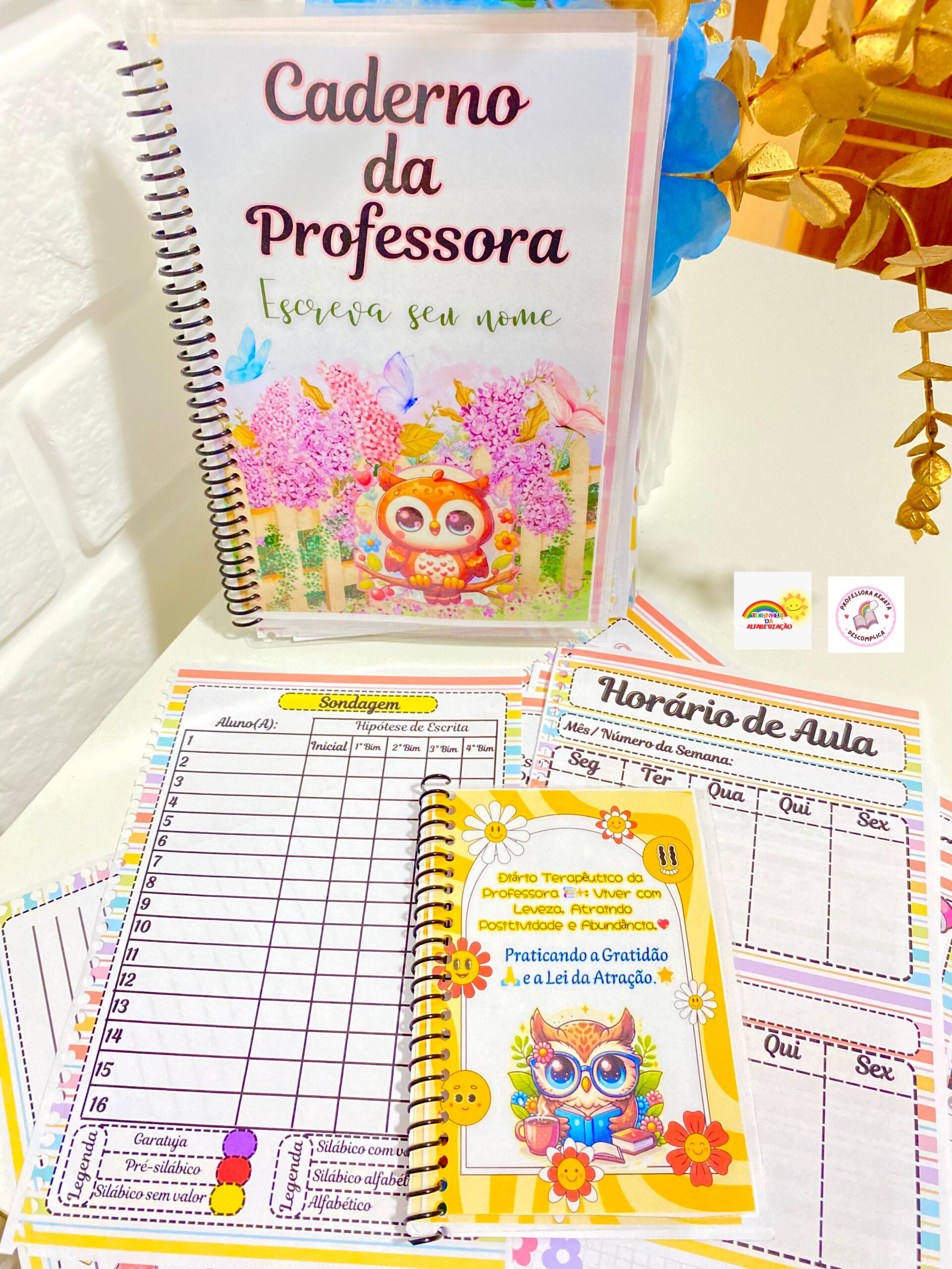 Caderno da Professora 2025 - 365 Dias + Sondagem Diagnóstica - Imagem 12