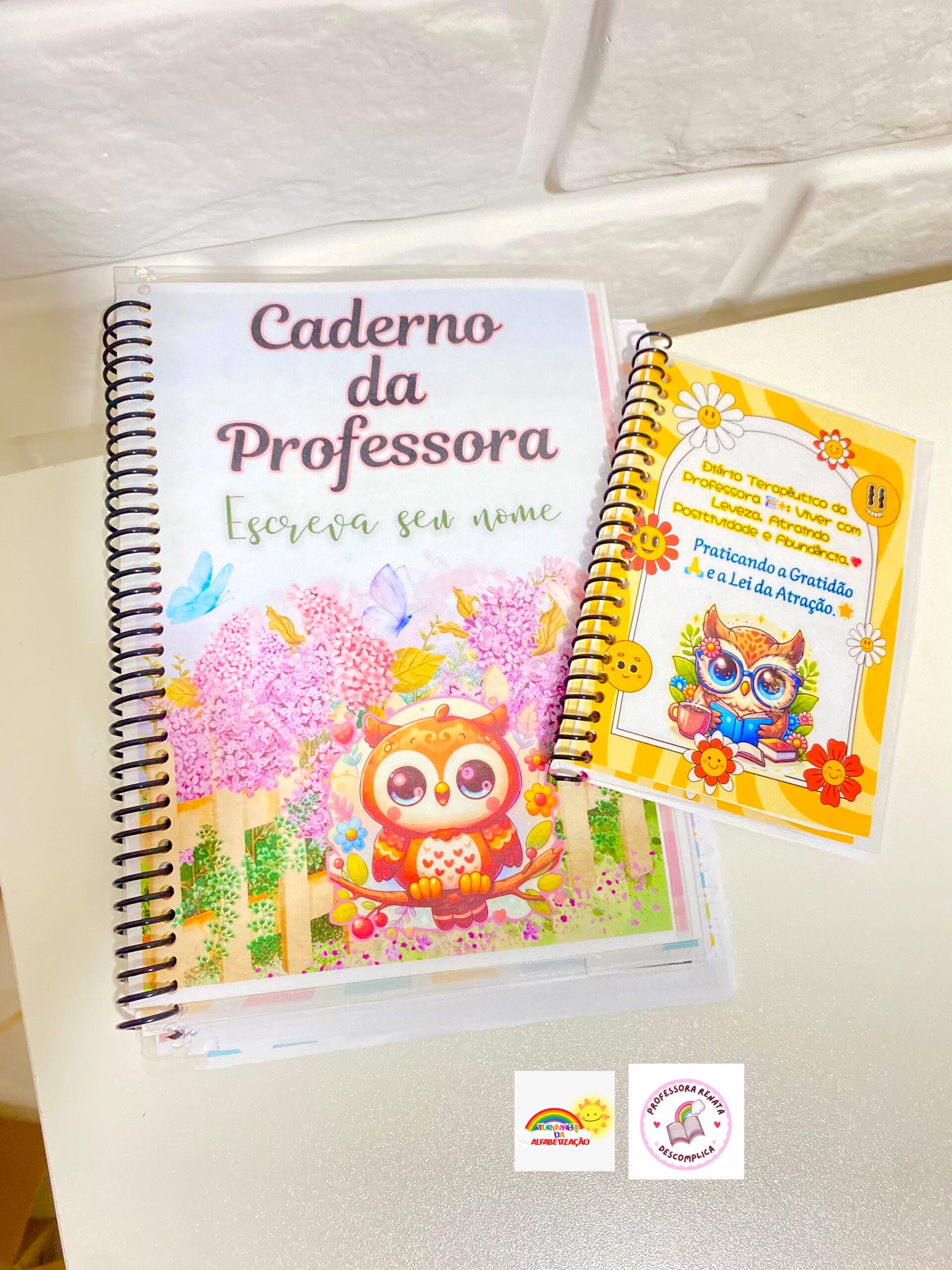 Caderno da Professora 2025 - 365 Dias + Sondagem Diagnóstica - Imagem 7