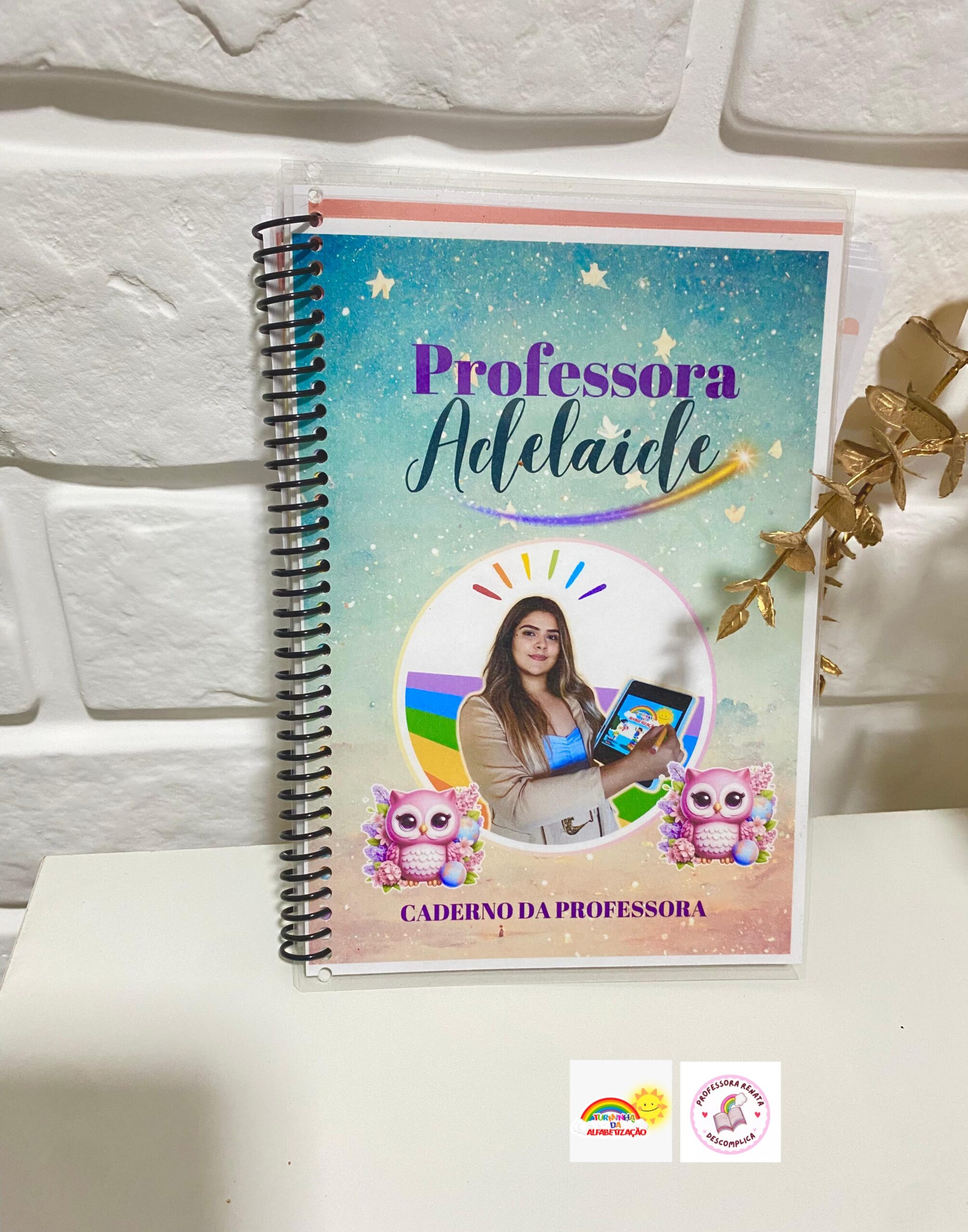 Caderno da Professora 2025 - 365 Dias + Sondagem Diagnóstica - Imagem 10