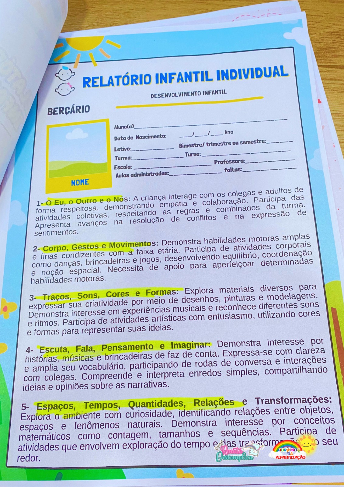 RELATÓRIO DE DESENVOLVIMENTO – EDUCAÇÃO INFANTIL E EDUCAÇÃO ESPECIAL | ATUALIZADO 2025 - Imagem 2