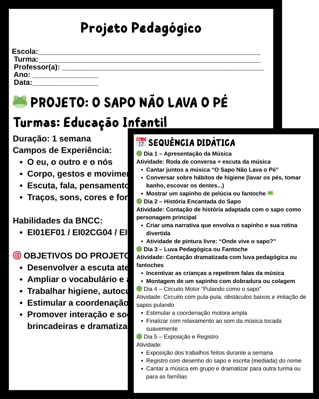 PROJETO O SAPO NÃO LAVA O PÉ - Imagem 2