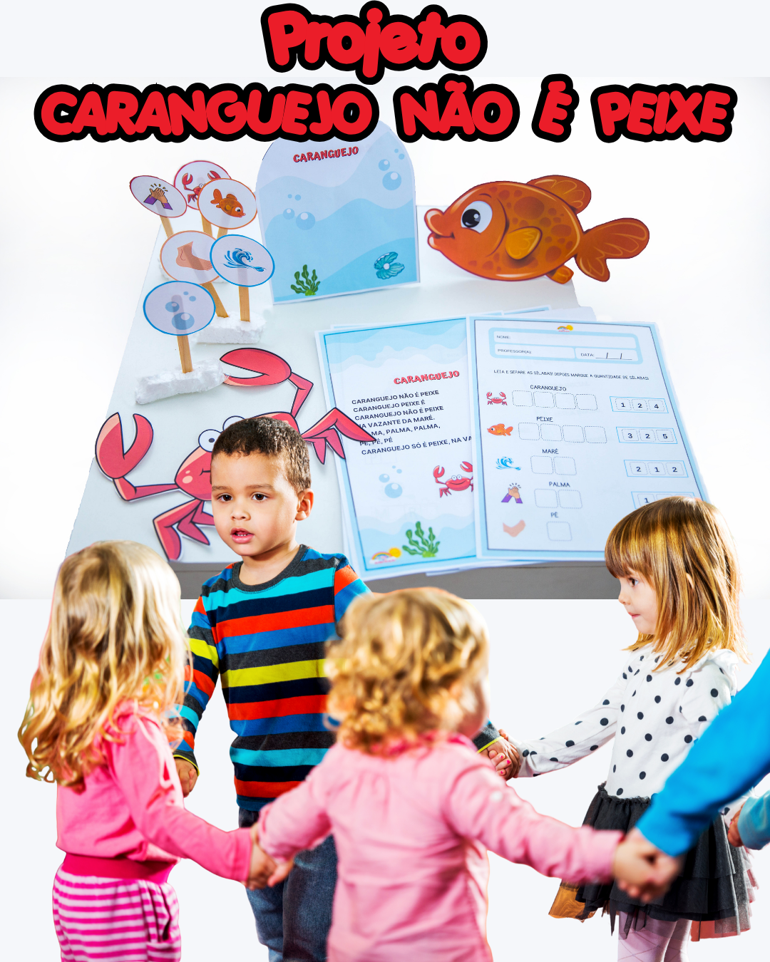 PROJETO CARANGUEJO NÃO É PEIXE - Imagem 9