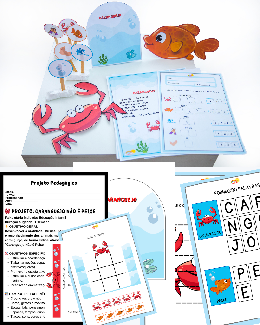 PROJETO CARANGUEJO NÃO É PEIXE - Imagem 3