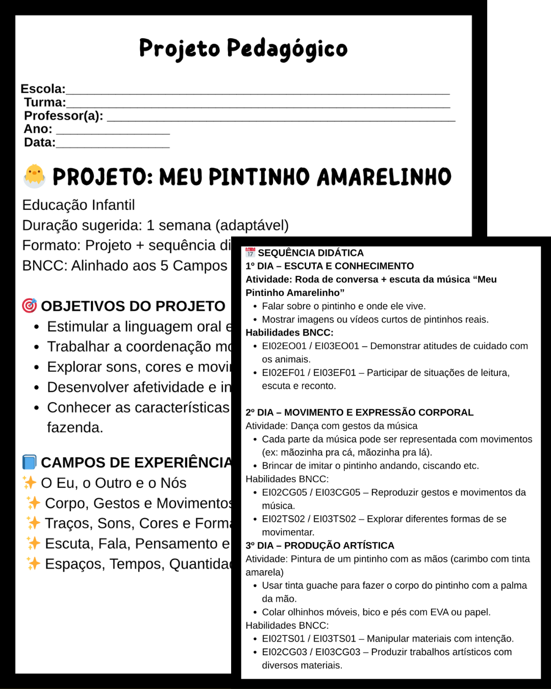 PROJETO MEU PINTINHO AMARELINHO - Imagem 2