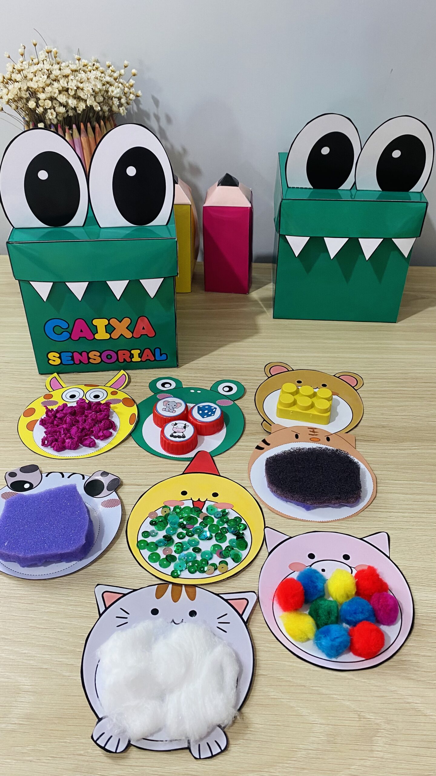 Caixa Sensorial – Jacarezinho Juca