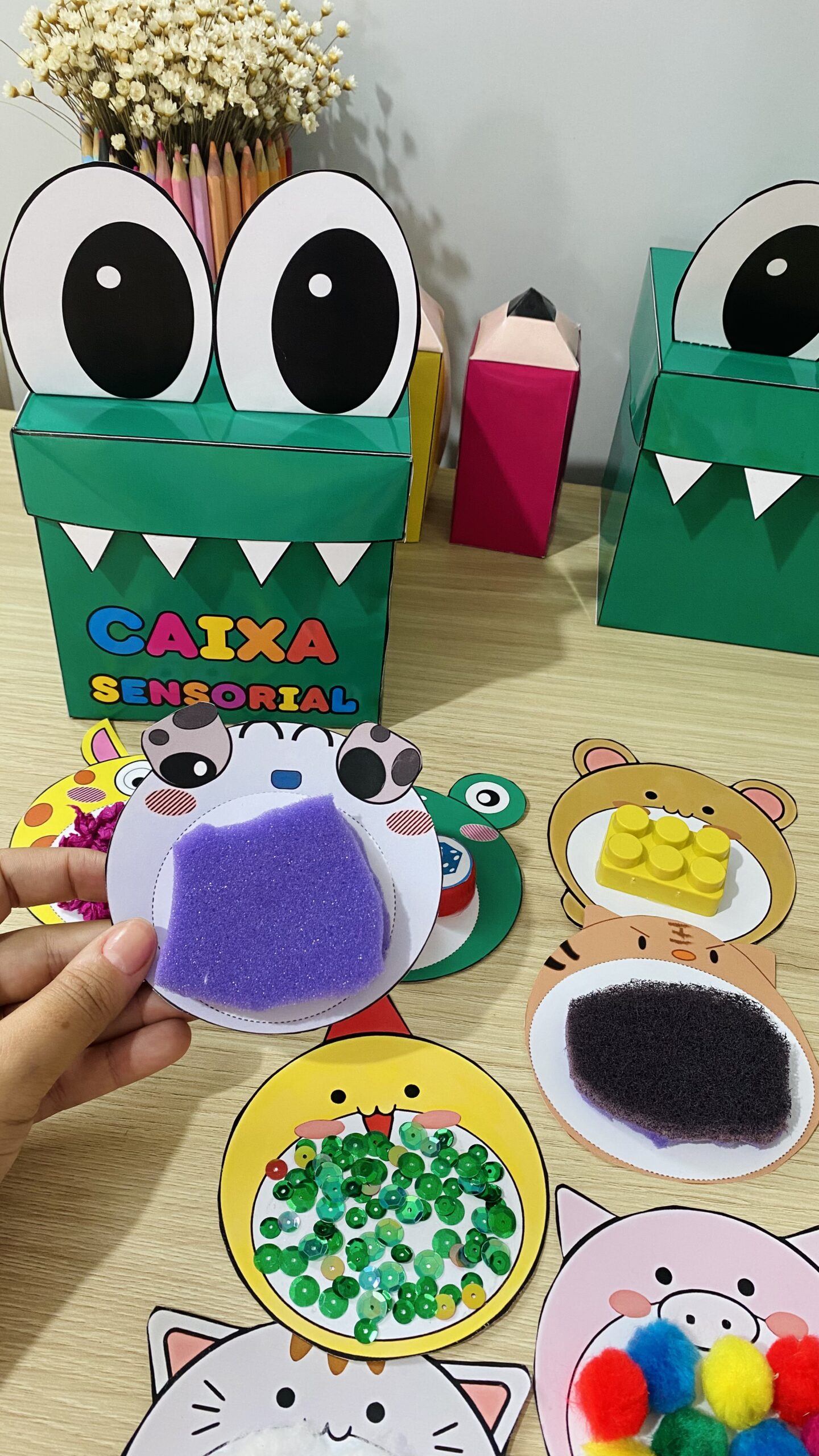 Caixa Sensorial – Jacarezinho Juca - Imagem 8