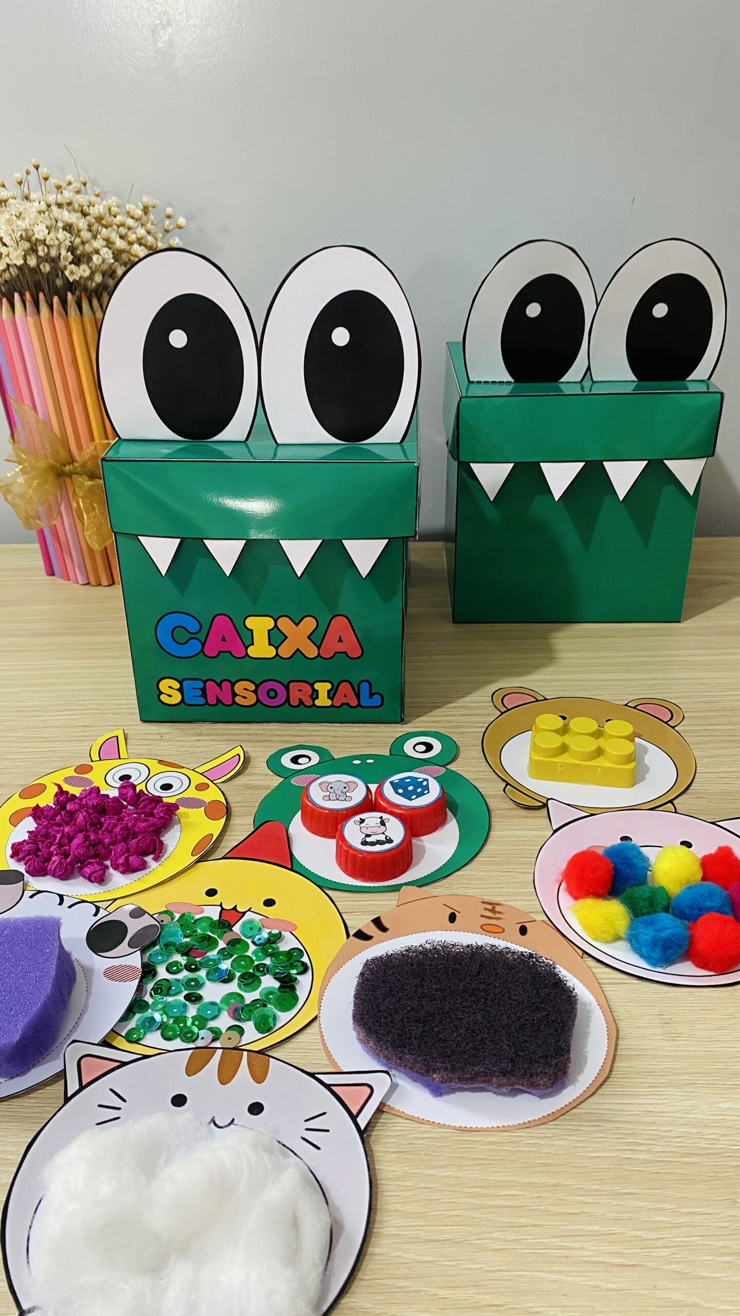 Caixa Sensorial – Jacarezinho Juca - Imagem 6