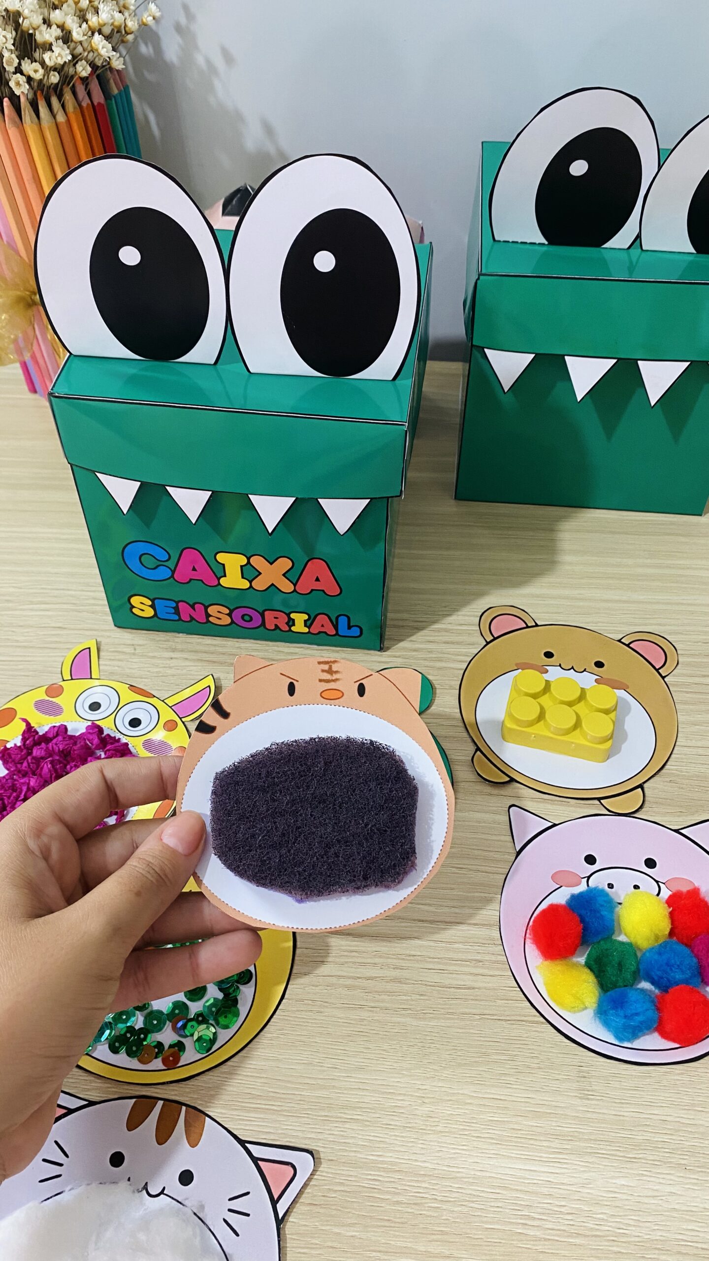 Caixa Sensorial – Jacarezinho Juca - Imagem 5
