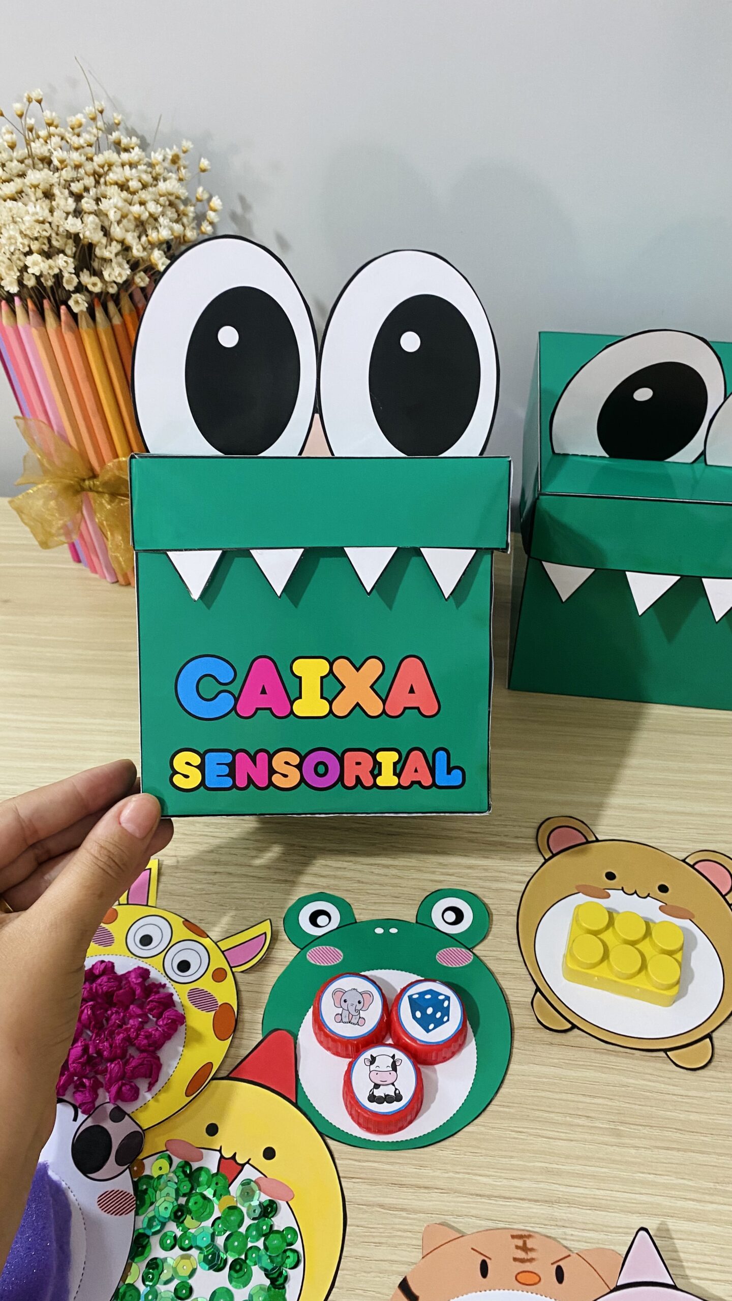 Caixa Sensorial – Jacarezinho Juca - Imagem 4
